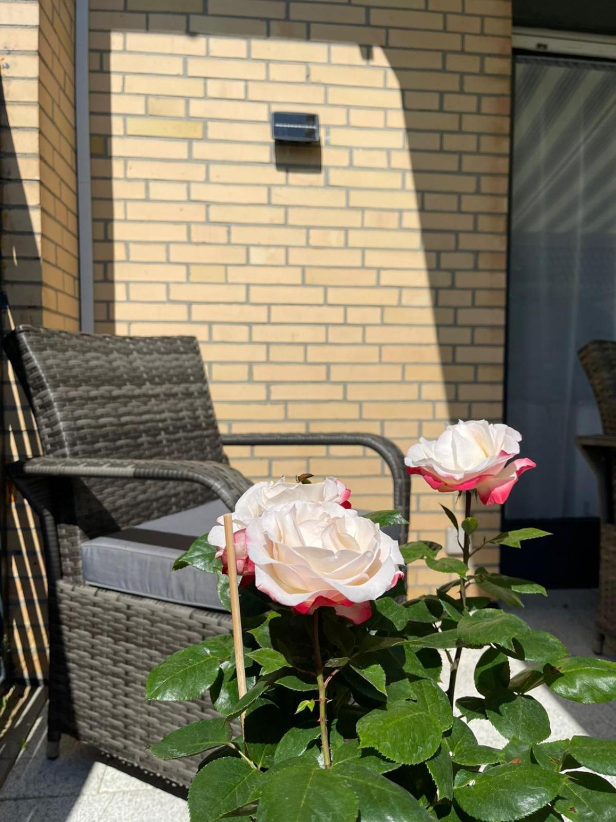 Ferienwohnung Strandoase Inklusive Terrasse Und Parkplatz - Sonnenseite Scharbeutz Eksteriør bilde